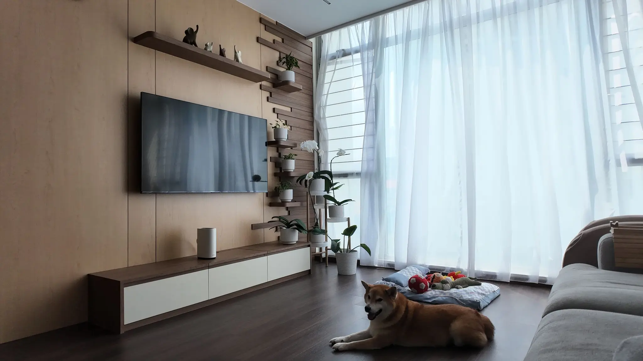 Bright living room with a wood feature wall at Lakeshore