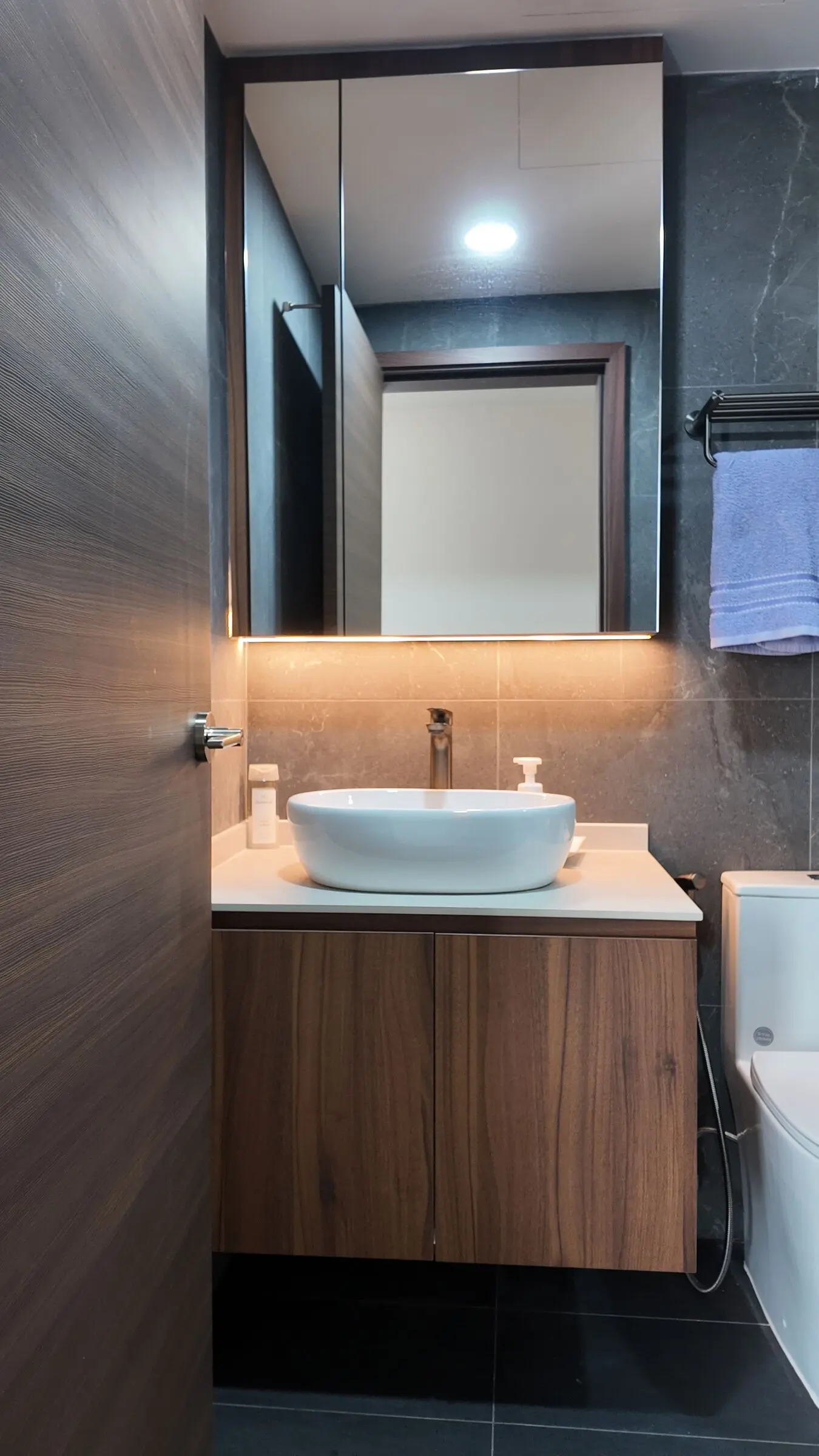 Bathroom vanity with illuminated mirror at Lakeshore
